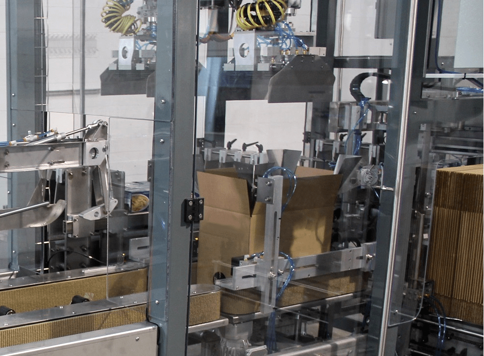 Automatic pick & place case packer for cartons
